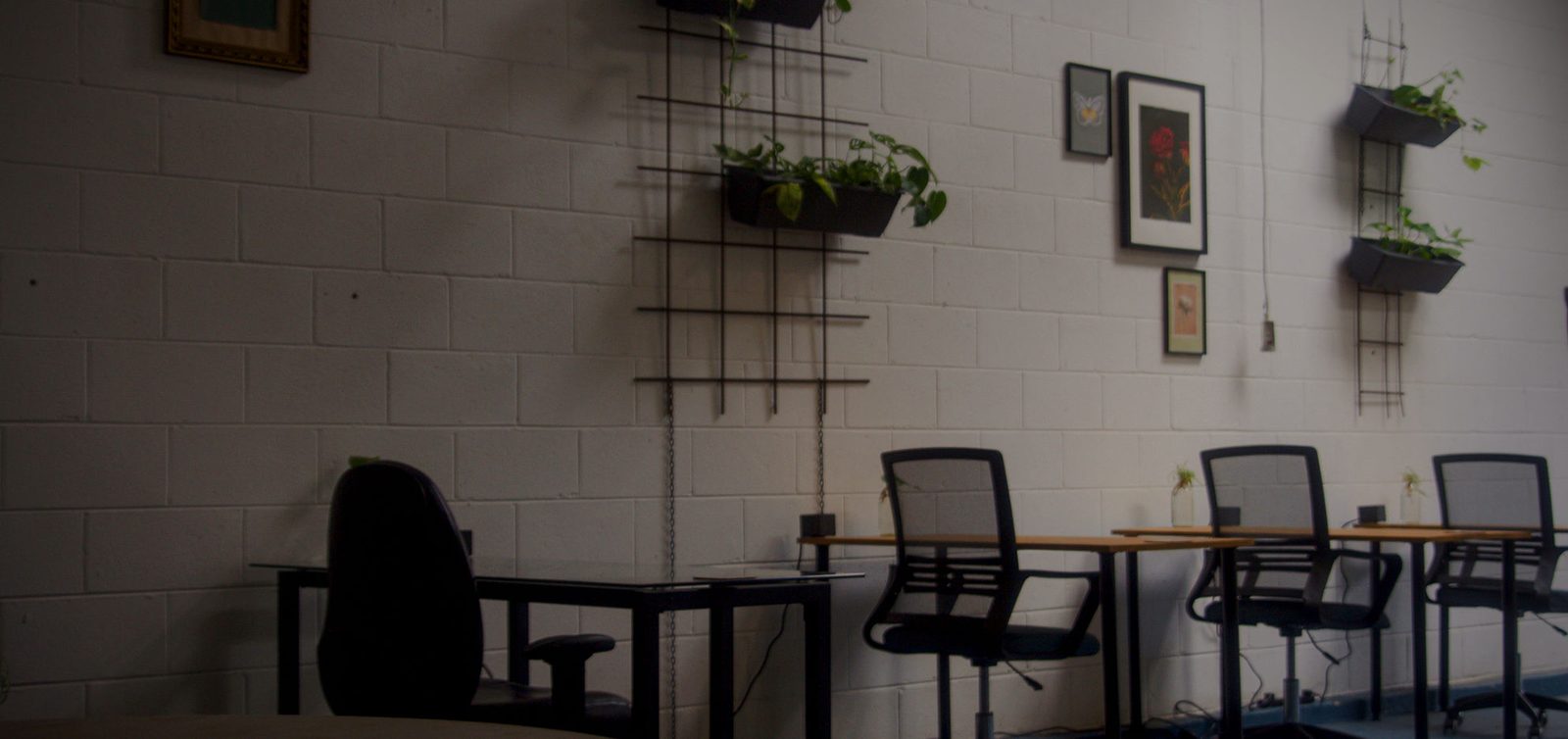 Main coworking area at Hydeout Bellingen